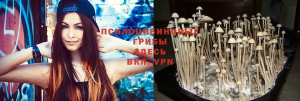 метамфетамин Дмитриев