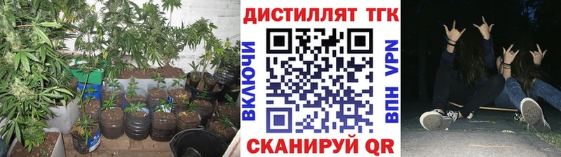 ТГК концентрат  купить  цена  Заречный 