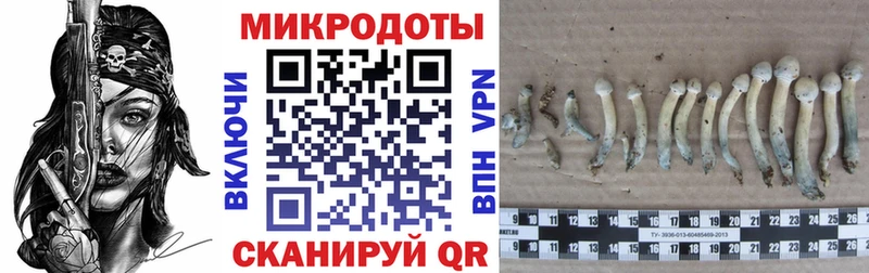 Галлюциногенные грибы прущие грибы  где продают наркотики  Заречный 