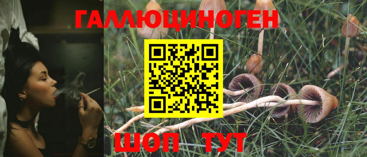 Заречный  Псилоцибиновые грибы Psilocybe  Вход с VPN 