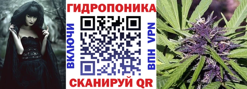 Бошки марихуана SATIVA & INDICA  Заречный 